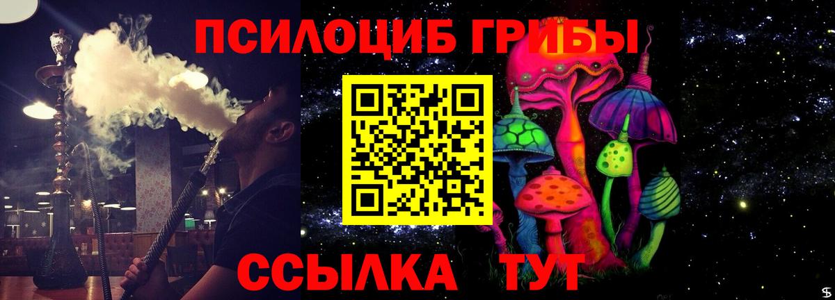Мурино  Псилоцибиновые грибы Psilocybine cubensis  Вход с VPN 